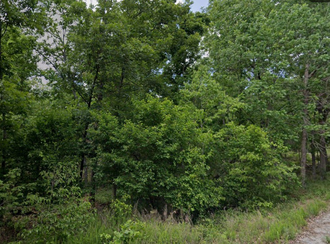 Vantage Ln property